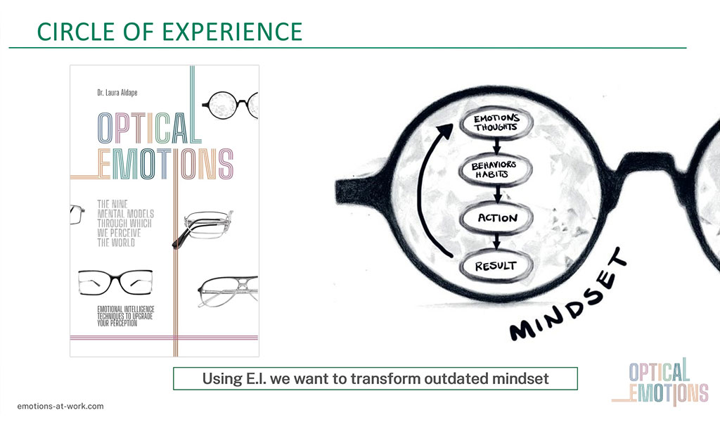 Optical Emotions Circle of Experience