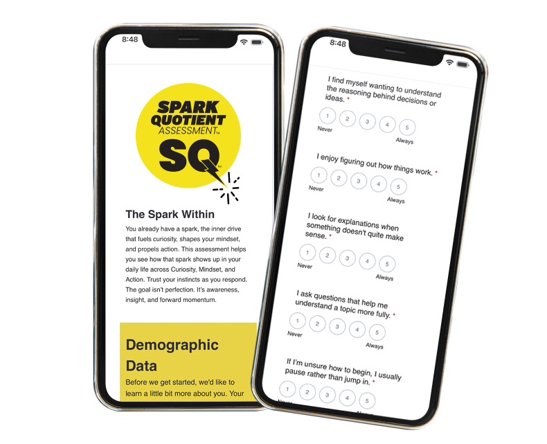 Spark Quotient Assessment screen captures